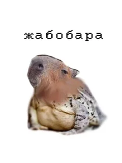 🌟 emoji арава дурачков Telegram sticker 7 of 45