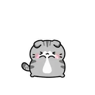 Sticker from ㅤㅤ         @stikie   및   @paaci