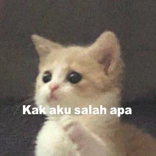 Sticker from Cute Cat
