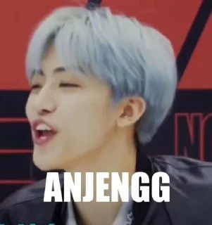🖕 emoji Nctstickers Telegram sticker 24 of 40