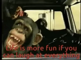 Sticker from King Lord's video pack (@Zeeki_bot) 3