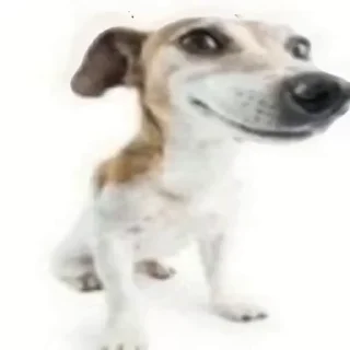 🐶 emoji ©《@NUR∆G》™ 𝘽𝙀𝙉 𝟏𝟎 💥☠'s Video Pack (@Zeroo_Twoo_Bot) Telegram sticker 17 of 50