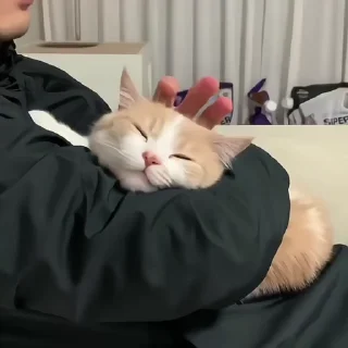 🩹 emoji @Chichii_07 's billu chan Telegram sticker 13 of 120