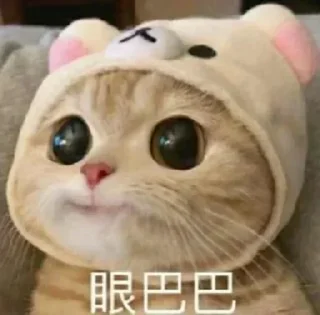 Sticker from 小猪包的贴贴纸