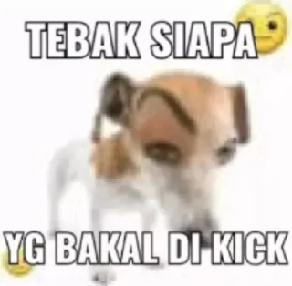 Sticker from meme jablay