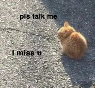 🥺 emoji MEoooooW Telegram sticker 19 of 70