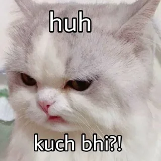 🙄 emoji MEoooooW Telegram sticker 3 of 70