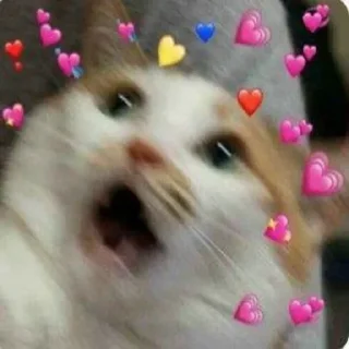 😳 emoji MEoooooW Telegram sticker 17 of 70