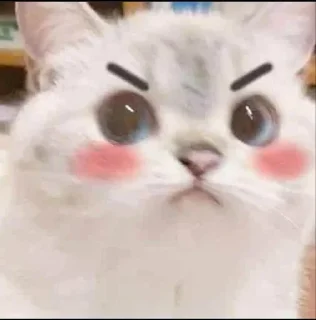 😾 emoji MEoooooW Telegram sticker 20 of 70