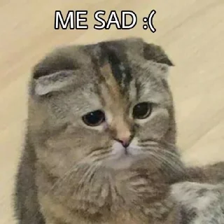 🙁 emoji MEoooooW Telegram sticker 2 of 70