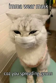 😷 emoji MEoooooW Telegram sticker 22 of 70