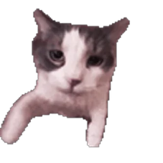 😂 emoji 𝐒𝐈𝐍 ⚕️'s video pack Telegram sticker 6 of 50