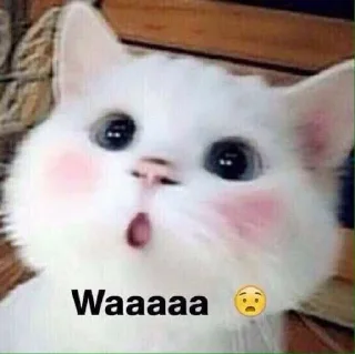 😳 emoji U B E L ♧'s Sticker Pack (@Zeroo_Twoo_Bot) Telegram sticker 6 of 36