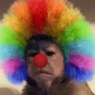 🤡 emoji 财少专属 @caishao1688 Telegram sticker 4 of 69