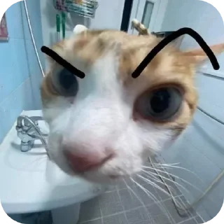 🤨 emoji mboh Telegram sticker 3 of 20