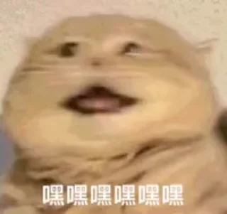 ⭐ emoji 我也愛貓貓 @F76av Telegram sticker 11 of 50