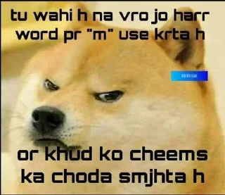 😂 emoji @HHScholar Ke Cheems 2 🔥 — @stckrRobot Telegram sticker 15 of 95