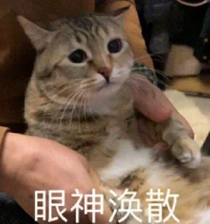 ⭐ emoji 萨摩耶 Telegram sticker 4 of 35