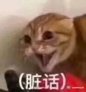 ⭐ emoji 萨摩耶 Telegram sticker 5 of 35