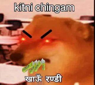 Sticker from Video Stickers