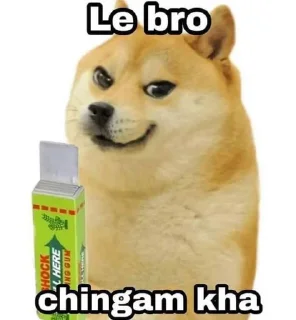 Sticker from Video Stickers