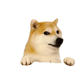 Sticker from @nivmal sticker pack — @stckrRobot