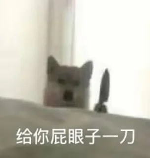 👀 emoji 阿巴阿巴 Telegram sticker 18 of 120