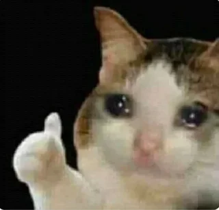 🥺 emoji PAVITHRA.'s sticker pack (@shoto_Xxrobot) Telegram sticker 5 of 100