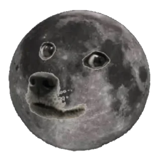 🌚 emoji +__+'s sticker pack (@shoto_Xxrobot) Telegram sticker 19 of 39