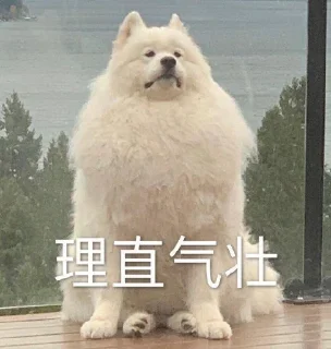 Sticker from 萨摩耶(Samoyed) & more by @momo_li ⭐️