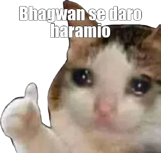 Sticker from Gali wala