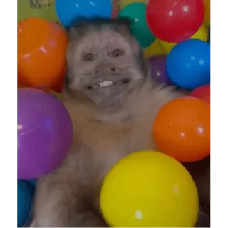 😀 emoji George Monkey🐒🐒 Telegram sticker 15 of 30