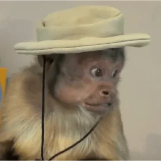 😀 emoji George Monkey🐒🐒 Telegram sticker 9 of 30
