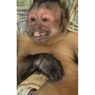 😀 emoji George Monkey🐒🐒 Telegram sticker 17 of 30