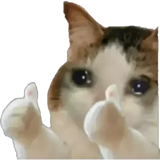 👍 emoji Mayank's Badmoshi Pack (@CalsiBot) Telegram sticker 13 of 80