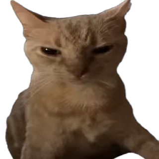 🤬 emoji Mayank's Badmoshi Pack (@CalsiBot) Telegram sticker 19 of 80