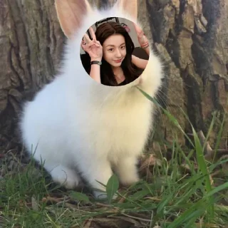 🐰 emoji marina menjadi apapun Telegram sticker 8 of 11