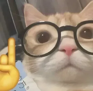🤓 emoji Mayank's Badmoshi Pack (@CalsiBot) Telegram sticker 5 of 80