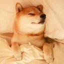 Sticker from 柴犬專用