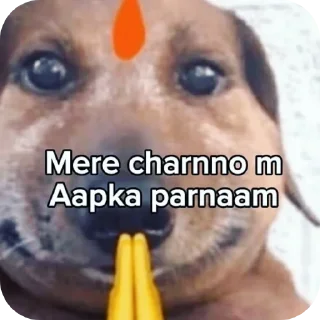 🐶 emoji Nitesh pack • @sticbot Telegram sticker 19 of 83