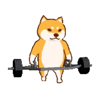 Sticker from 運動柴犬 vol2_kal