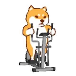 Sticker from 運動柴犬 vol2_kal