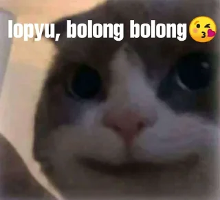 ➖ emoji pa maxut? Telegram sticker 3 of 45