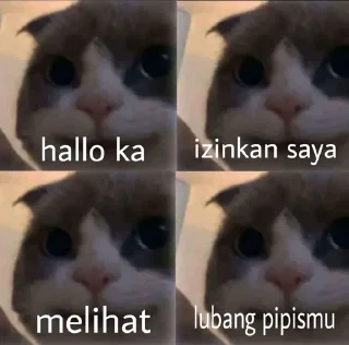 ➖ emoji pa maxut? Telegram sticker 13 of 45