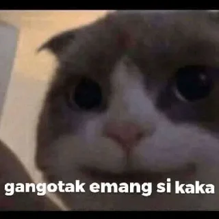 ➖ emoji pa maxut? Telegram sticker 21 of 45