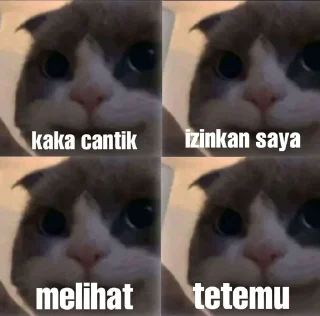 ➖ emoji pa maxut? Telegram sticker 14 of 45