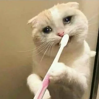 😭 emoji Kiska pack hai? Telegram sticker 5 of 120