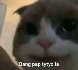 ➖ emoji pa maxut? Telegram sticker 19 of 45