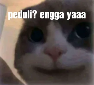 ➖ emoji pa maxut? Telegram sticker 5 of 45