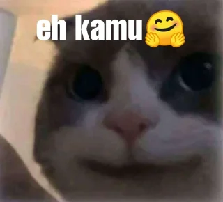 ➖ emoji pa maxut? Telegram sticker 2 of 45